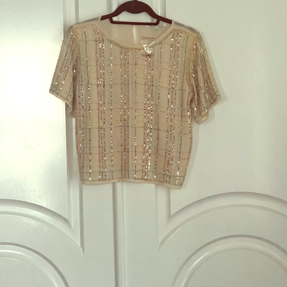 Sequin Crop Top/Boutique find